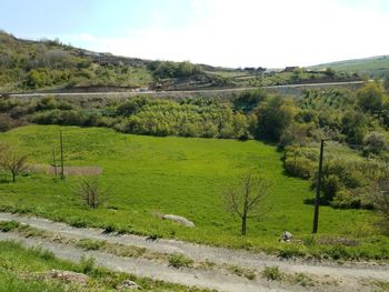 Scenic view of field against sky