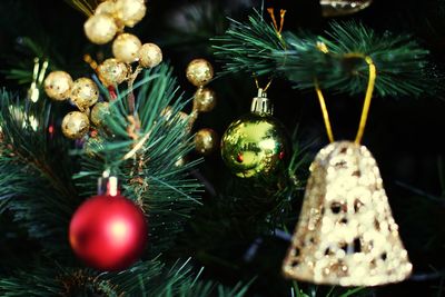 Close-up of christmas decorations hanging on tree