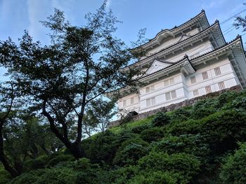 Low angle view of tree by building against sky