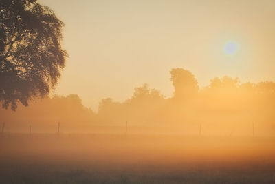 Trees on field against sky during sunset