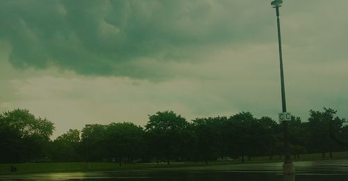 Trees on field against cloudy sky