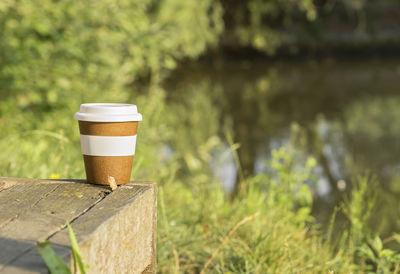 Bamboo takeaway coffee cup on green trees background