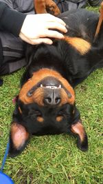 Close-up of man lying on grass