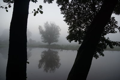 Silhouette tree by lake against sky