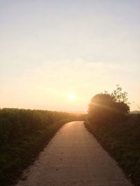 Road amidst trees against sky during sunset