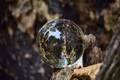 Extreme close up of crystal ball