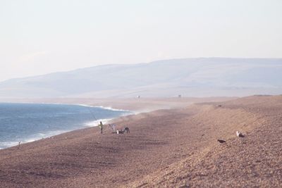 Fishing on beach against sky