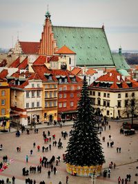 High angle view of christmas tree in town against sky