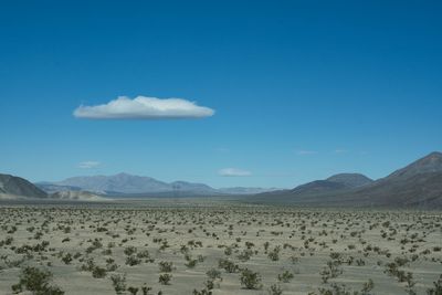 Scenic view of landscape against clear blue sky