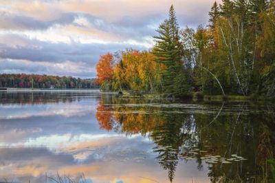 Reflection of trees in lake against sky