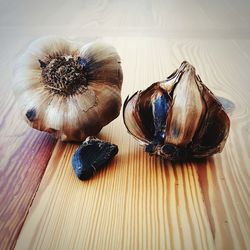 High angle view of shells on table