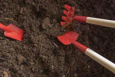 High angle view of red arrow sign on plant