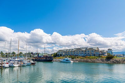 Sailboats moored at harbor against sky