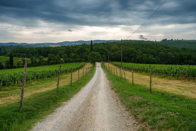 Road amidst field against sky