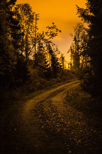 Road amidst trees in forest during sunset