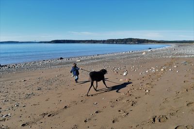 Rear view of boy with dog at beach