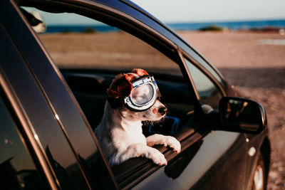 Reflection of man wearing sunglasses on car