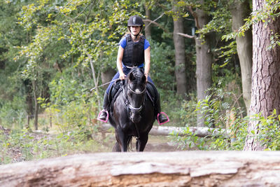 Woman riding horse by obstacle on field at forest