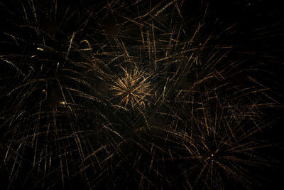 Low angle view of fireworks against sky at night