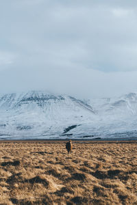 Scenic view of landscape against sky during winter