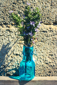 Close-up of flower pot against blue wall