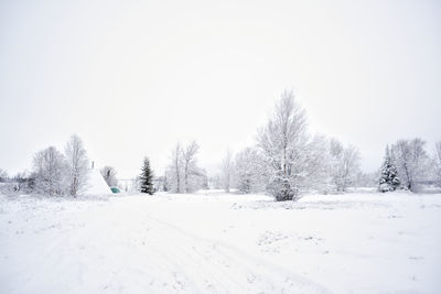 Trees on snow covered field against clear sky
