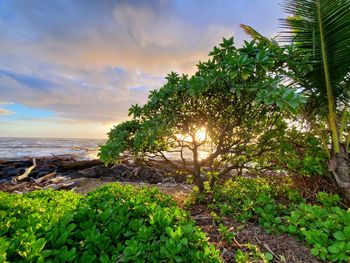 Scenic view of sea against sky during sunset