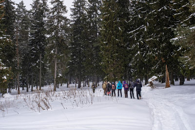 People on snow covered field