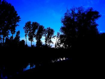 Low angle view of silhouette trees against sky at night