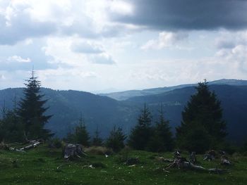 Scenic view of landscape against sky