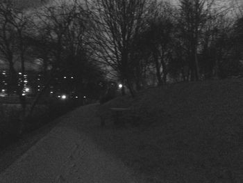 Road passing through bare trees