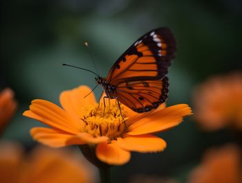 beauty in nature