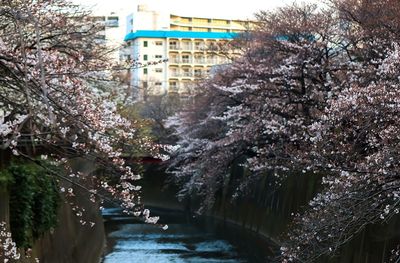 Buildings in city