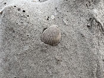 sand