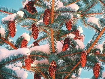 Low angle view of tree against sky