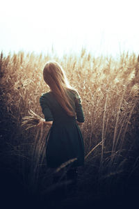 Rear view of woman standing in farm