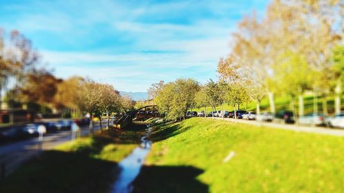 Road by trees in city against sky