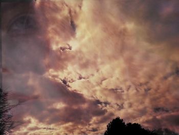 Low angle view of trees against cloudy sky