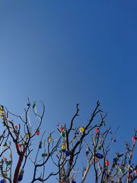 Low angle view of flower tree against clear blue sky