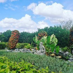 Plants growing on field against sky