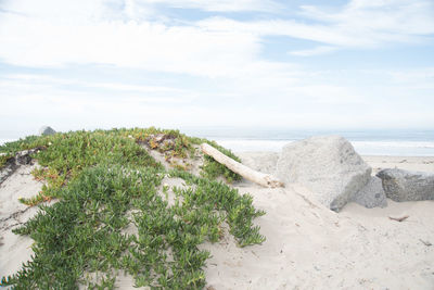 Scenic view of beach against sky