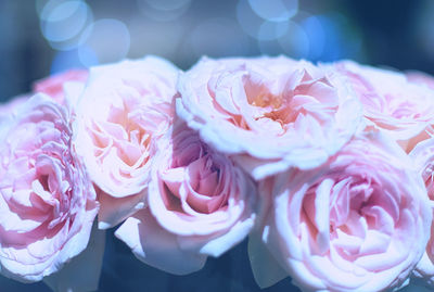 Close-up of pink rose bouquet