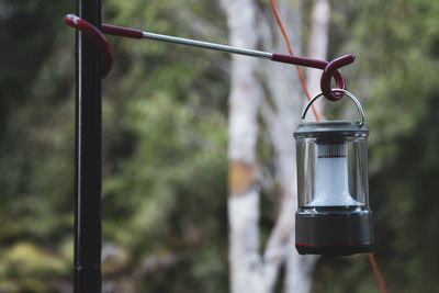 Close-up of electric lamp hanging in yard