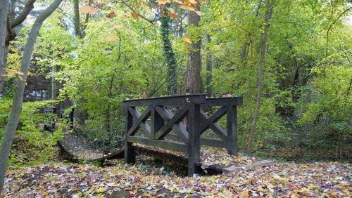 Bench in park during autumn