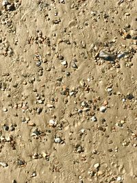 Full frame shot of pebbles on beach