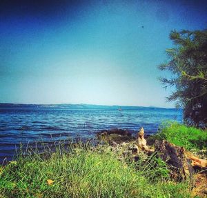 Scenic view of landscape against clear sky