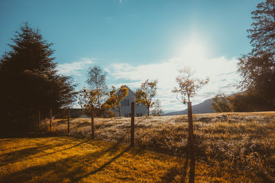 Trees on field against sky