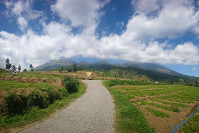 Scenic view of road amidst field against sky