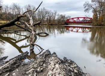 Bare trees by lake during winter