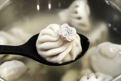 Close-up of flower in plate